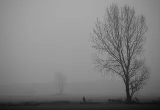 Ratgeber tageslichtlampen.eu - Lichttherapie gegen Depressionen im Winter