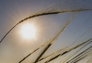 Ratgeber tageslichtlampen.eu - Vitamin D-Mangel richtig vorbeugen und behandeln