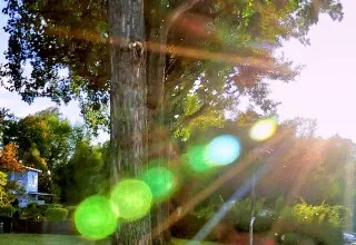 Ratgeber tageslichtlampen.eu - Die vielfältigen Vorteile von Vollspektrumlampen