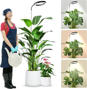 wolezek Pflanzenlampe LED Vollspektrum, 80 LEDs 6500K Grow Light, 160cm Großes Grow Lampe, 3 Farben Pflanzenlicht mit 360° Schwanenhals, 6/12/16H Timer, 5 Helligkeit, Höhenverstellbar, Schwarz [Energieklasse F]